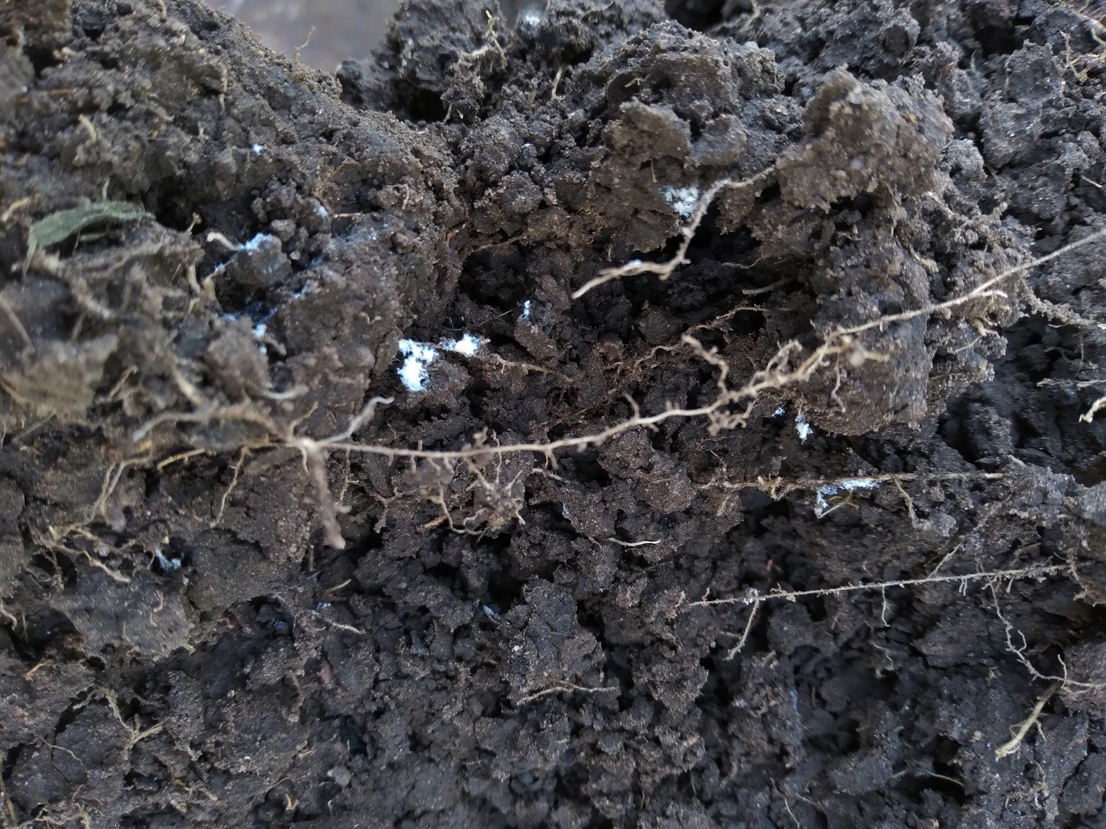 Análisis de propiedades del suelo y agua