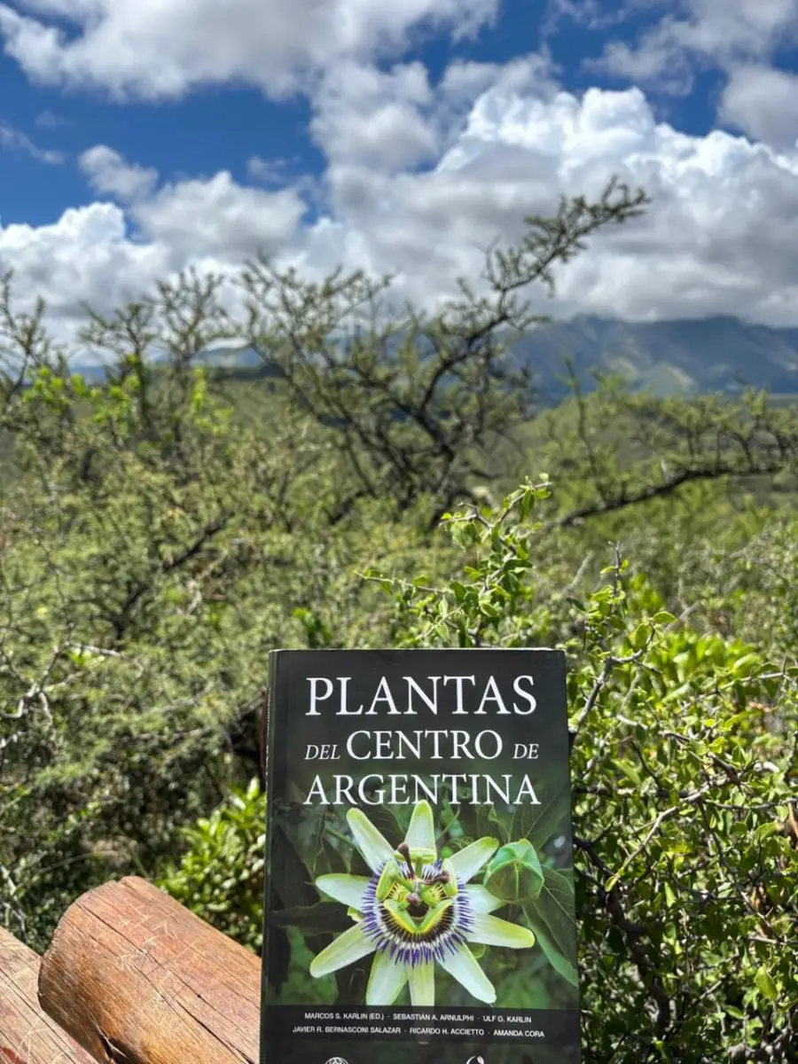 Diseño de jardín sostenible